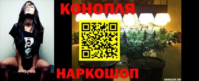 дмт Гусев
