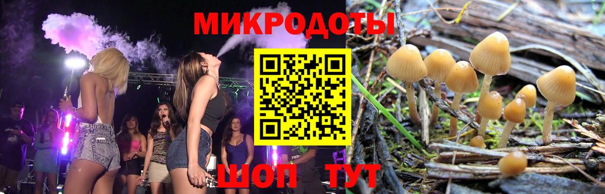 Псилоцибиновые грибы прущие грибы Можга