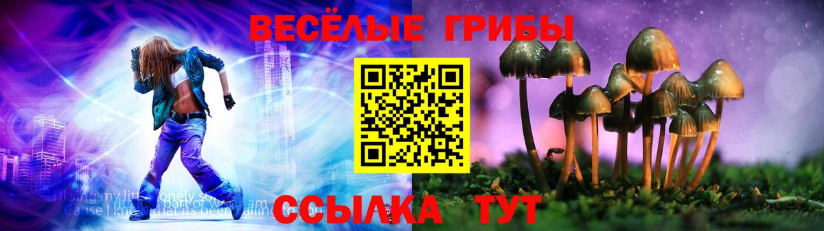 Галлюциногенные грибы прущие грибы  Вход с VPN  сколько стоит  Галлюциногенные грибы Psilocybe  Можга 